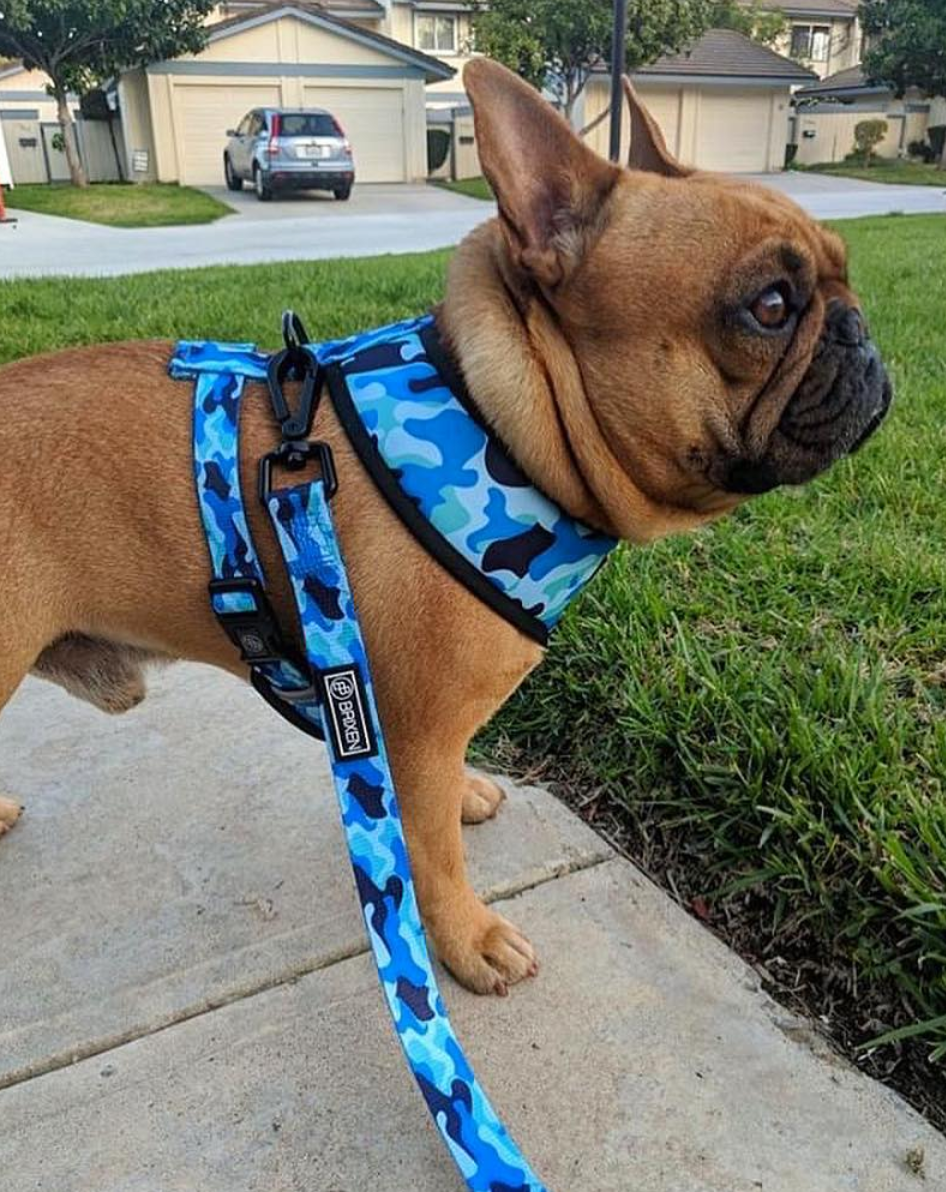 Breathable & Padded French Bulldog Harness and Leash