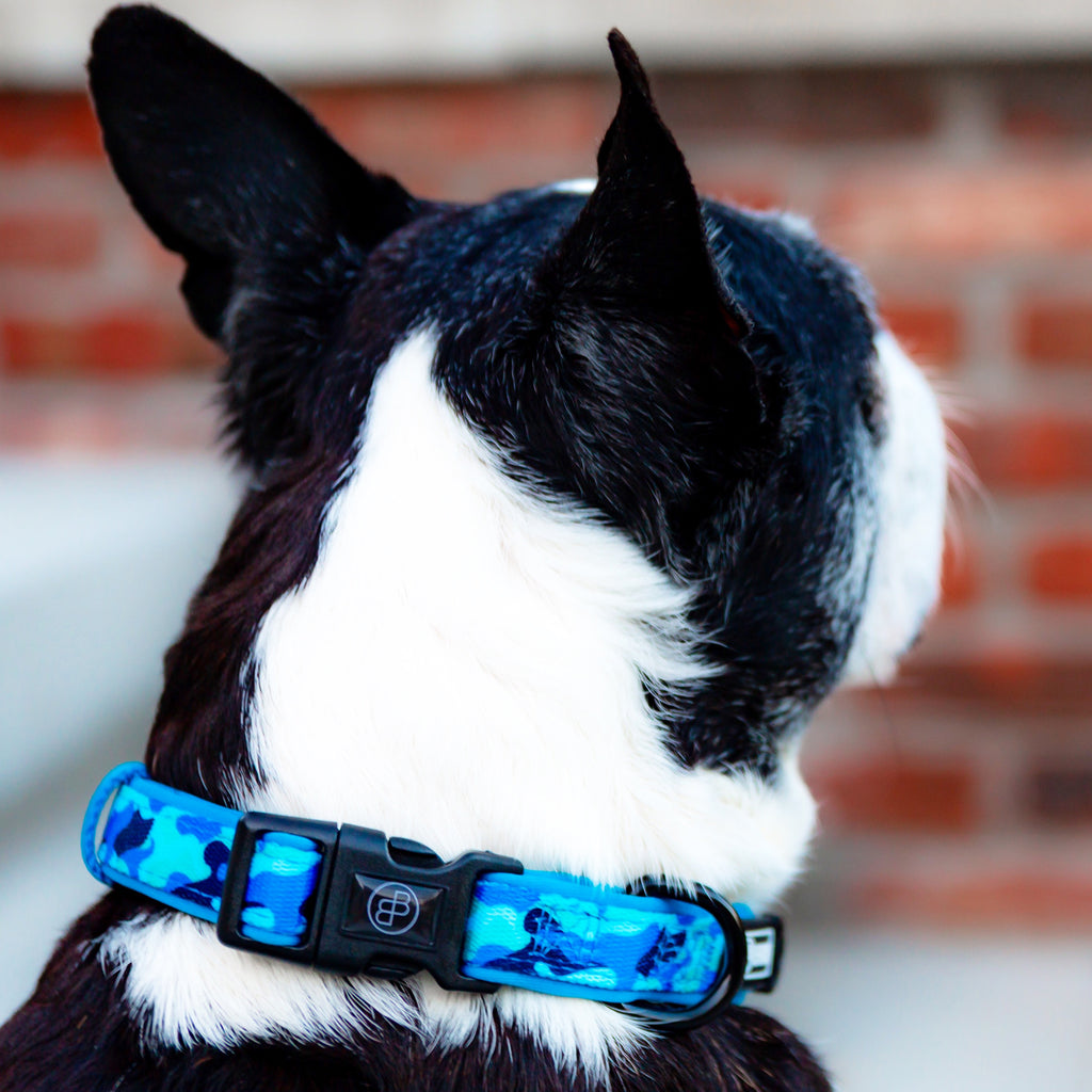 Blue camo dog top collar