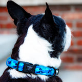 the blue camo dog collar - BRIXEN