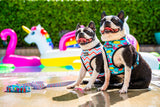 The Pool Party Reversible No Pull Dog Harness - Brixen