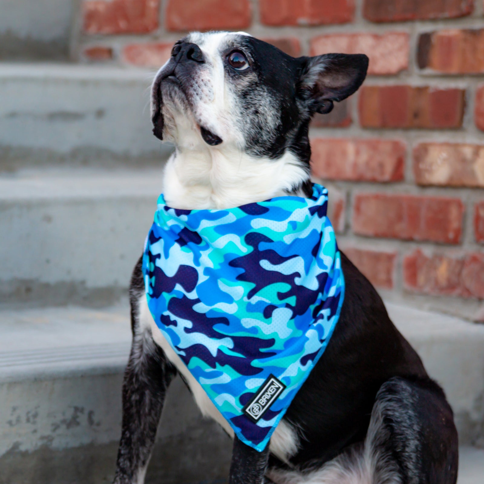 The Camo Blue Dog Bandana BRIXEN BARK