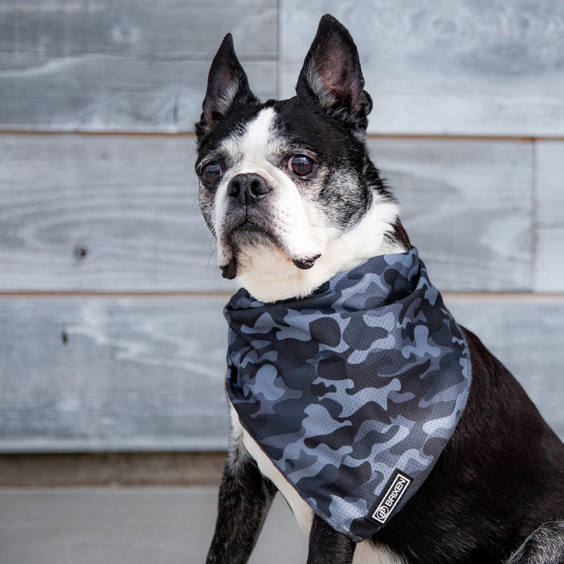 the gray camo dog bandana - BRIXEN