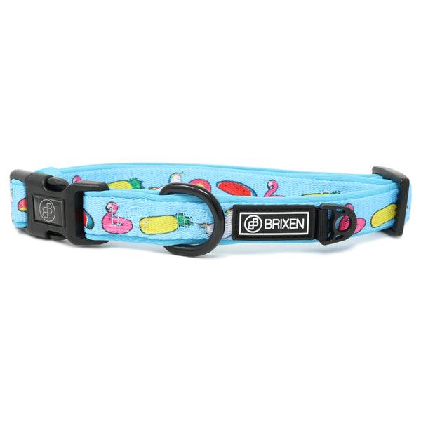 the pool party dog collar - BRIXEN