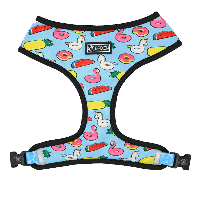 The Pool Party - Reversible Dog Harness